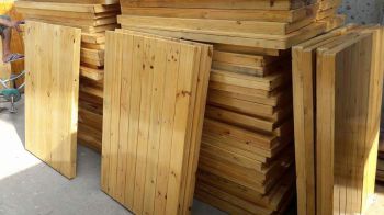 Phản gỗ mầm non.